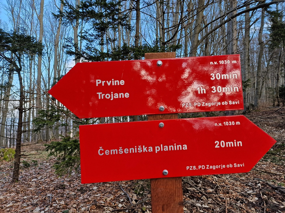 Slika je vidna v Google Chromu.