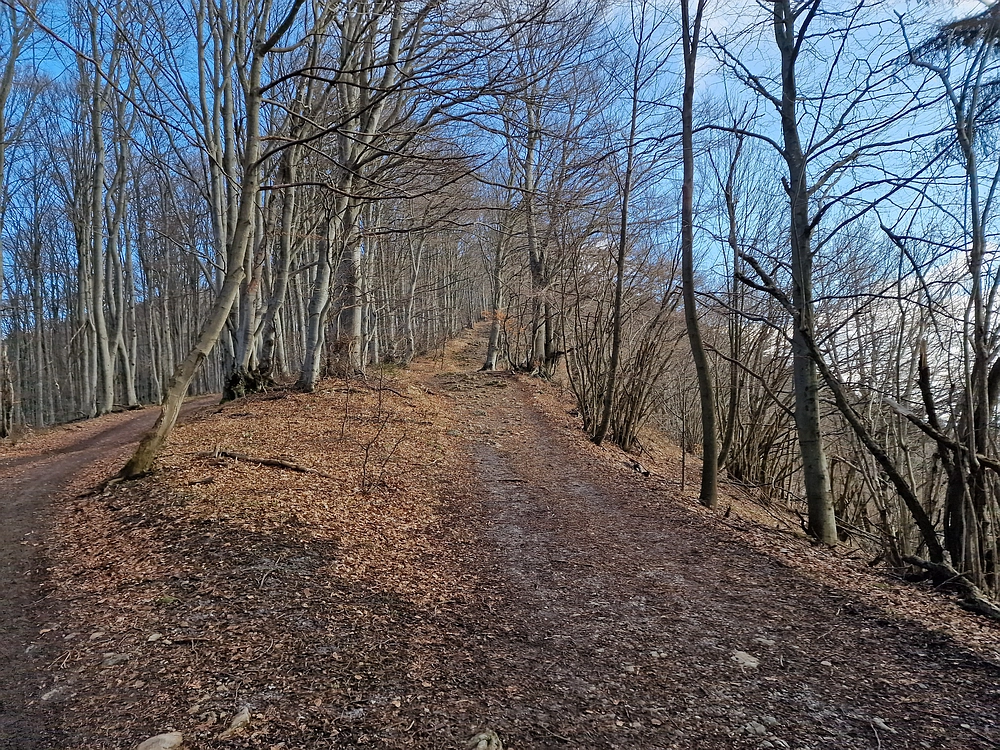 Slika je vidna v Google Chromu.