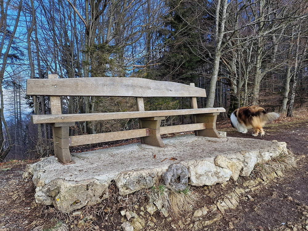 Slika je vidna v Google Chromu.