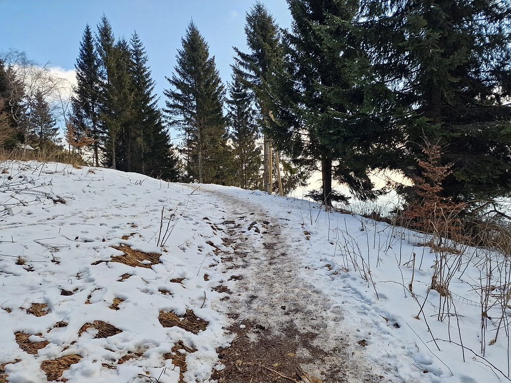 Slika je vidna v Google Chromu.