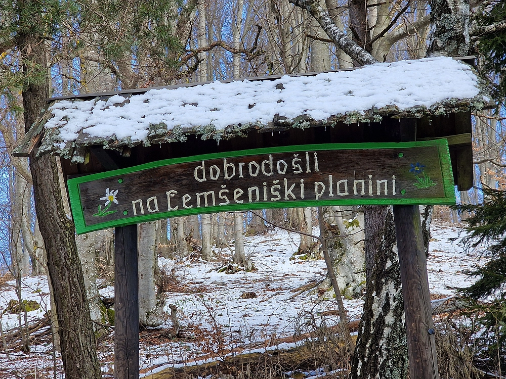 Slika je vidna v Google Chromu.