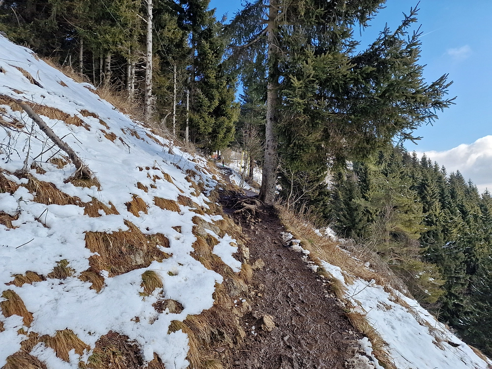Slika je vidna v Google Chromu.