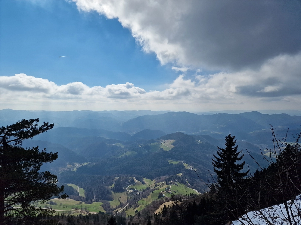 Slika je vidna v Google Chromu.