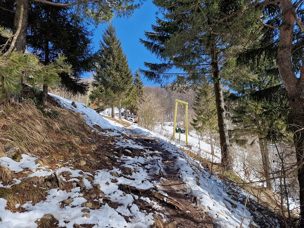 Slika je vidna v Google Chromu.
