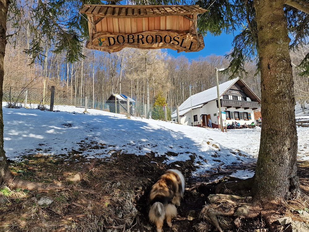 Slika je vidna v Google Chromu.