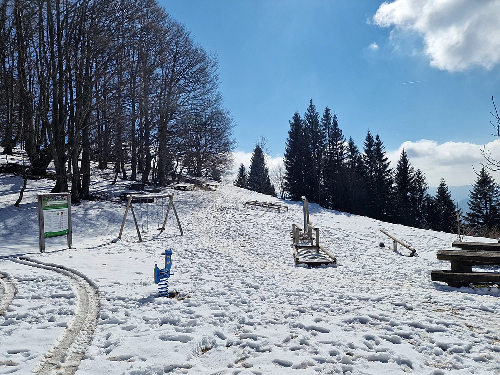 Slika je vidna v Google Chromu.