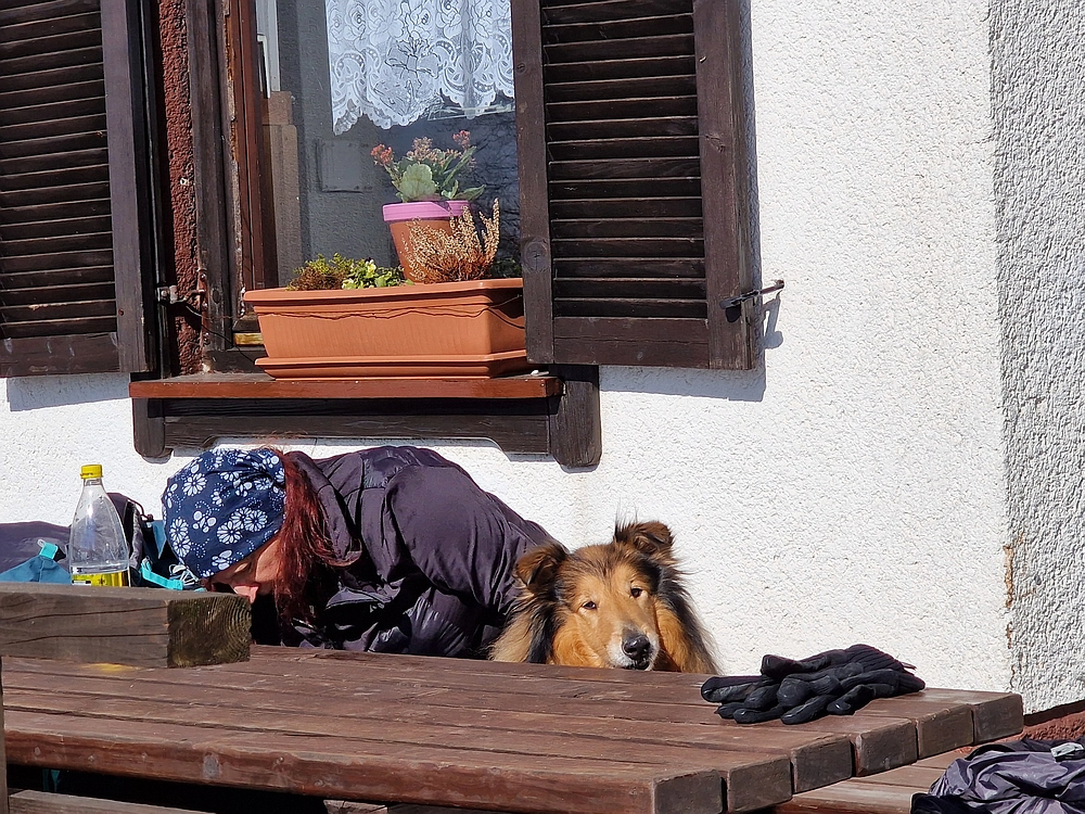 Slika je vidna v Google Chromu.
