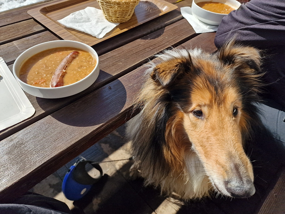 Slika je vidna v Google Chromu.