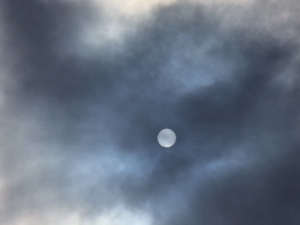 Slika je vidna v Google Chromu.