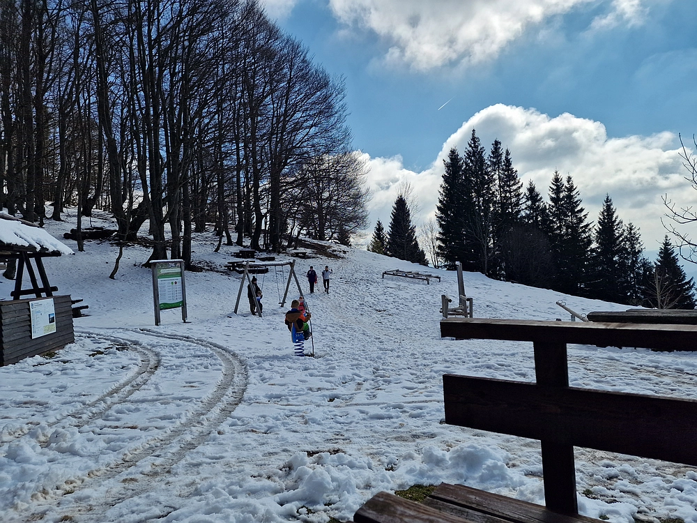 Slika je vidna v Google Chromu.