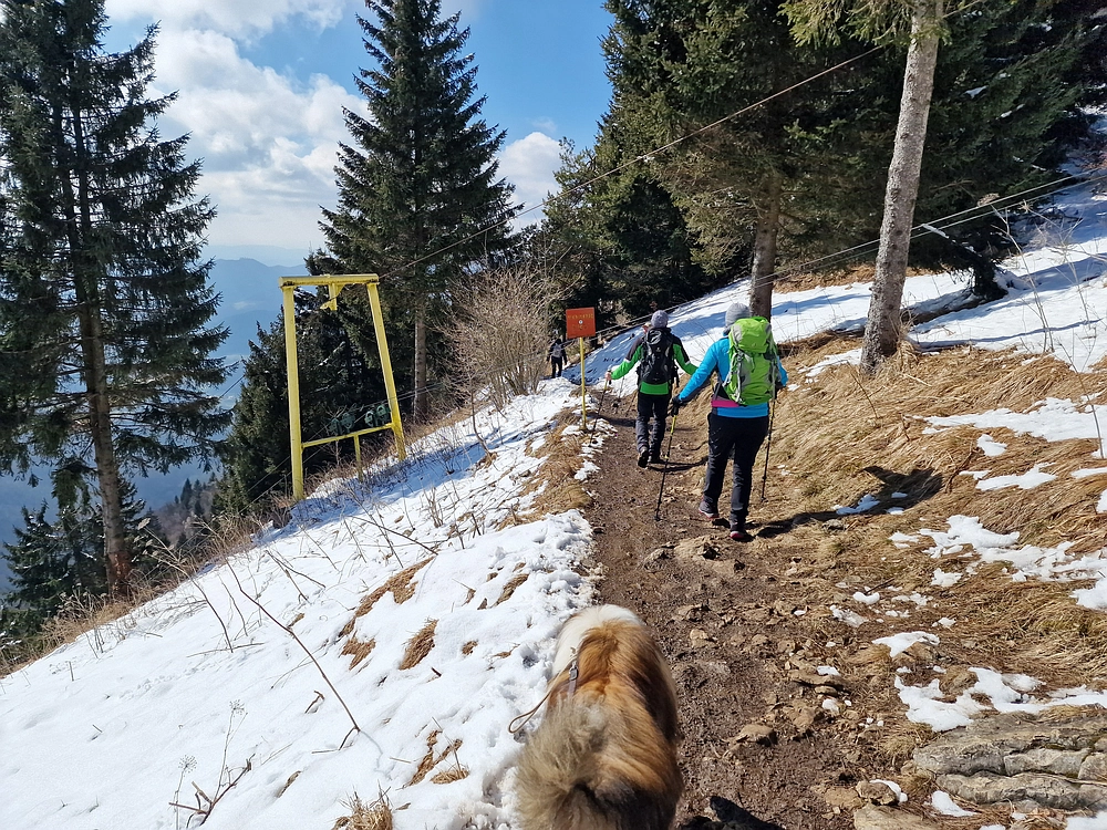 Slika je vidna v Google Chromu.