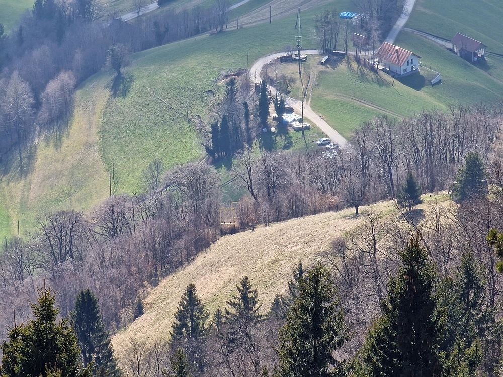Slika je vidna v Google Chromu.