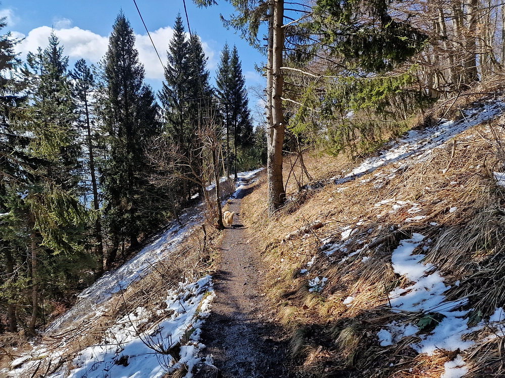 Slika je vidna v Google Chromu.