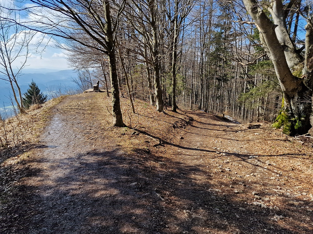 Slika je vidna v Google Chromu.