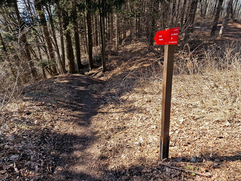 Slika je vidna v Google Chromu.