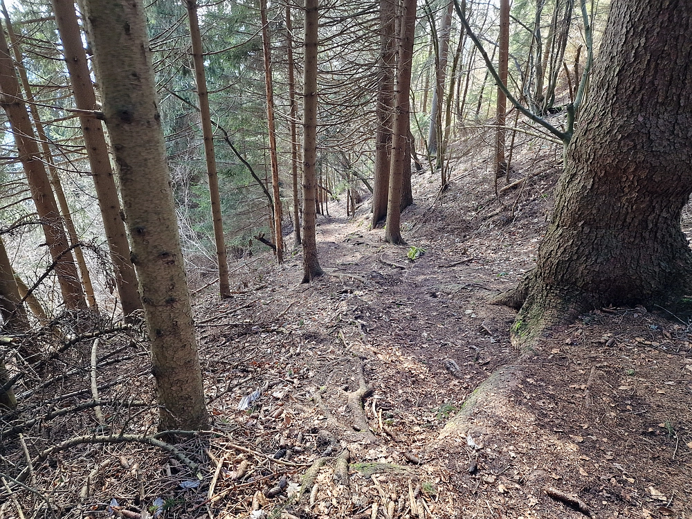 Slika je vidna v Google Chromu.