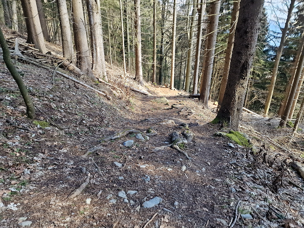 Slika je vidna v Google Chromu.