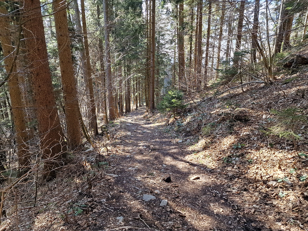 Slika je vidna v Google Chromu.