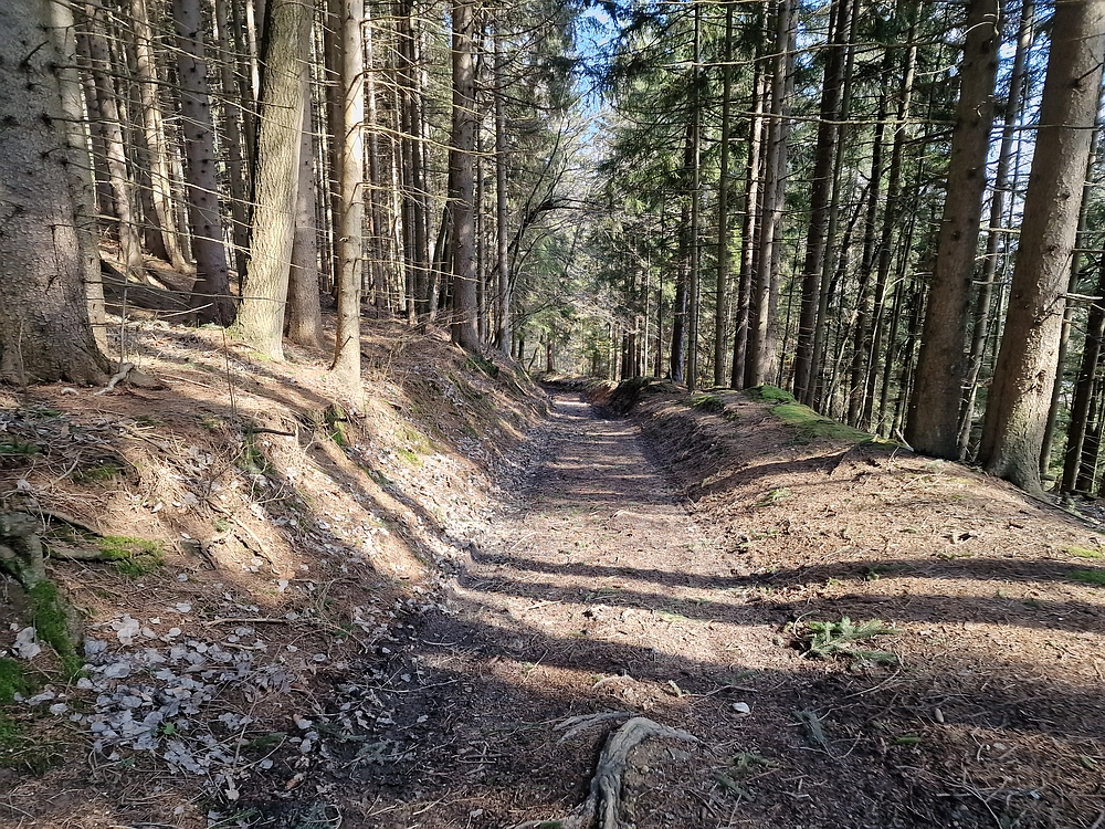 Slika je vidna v Google Chromu.