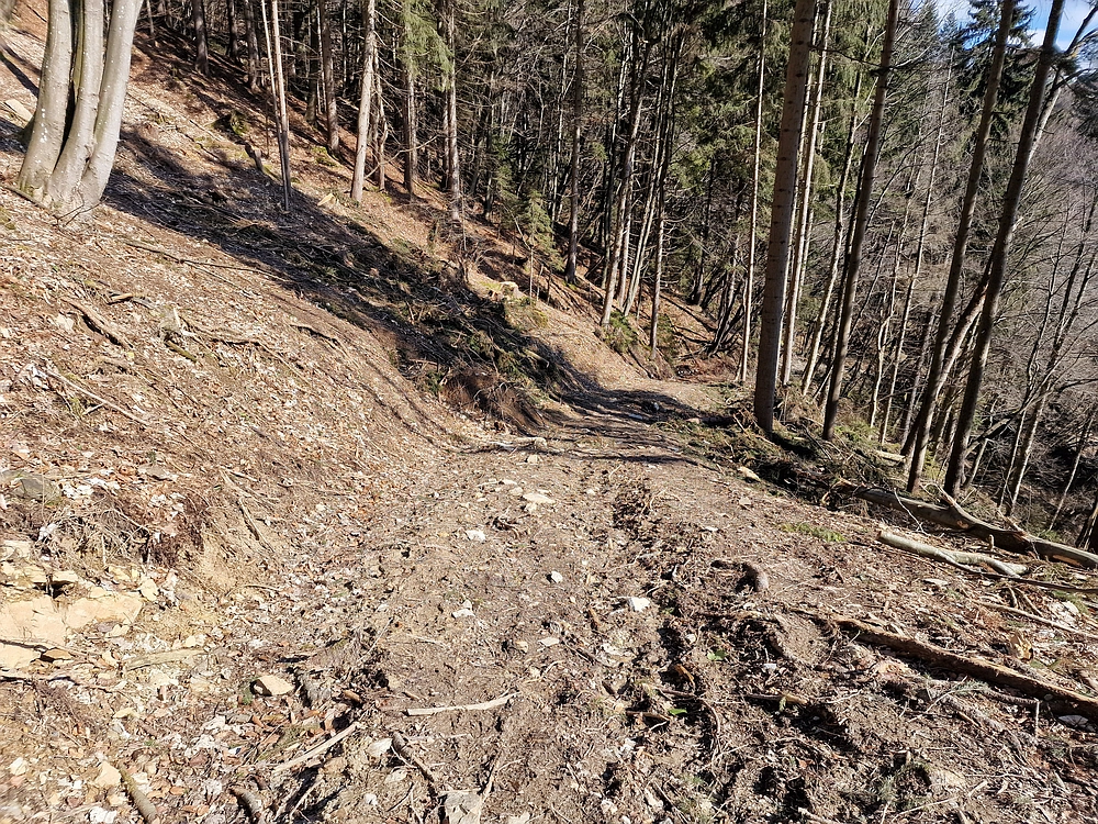 Slika je vidna v Google Chromu.