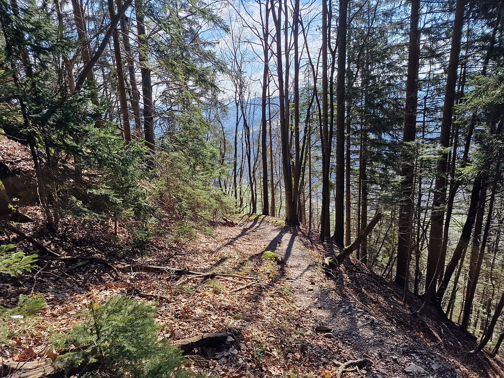 Slika je vidna v Google Chromu.