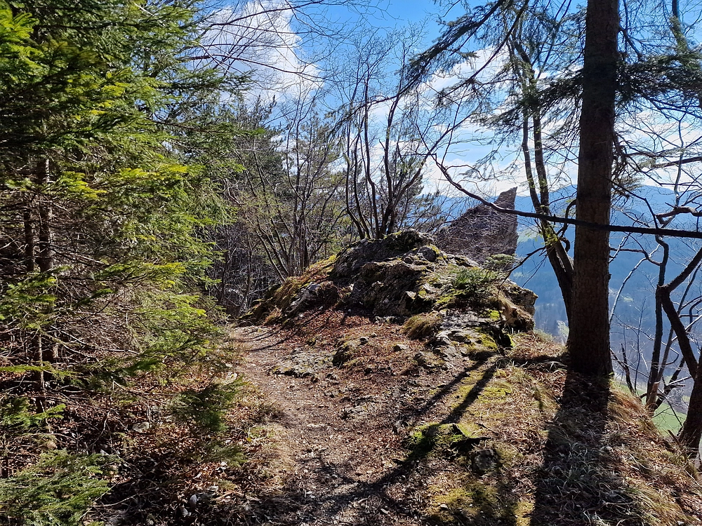 Slika je vidna v Google Chromu.