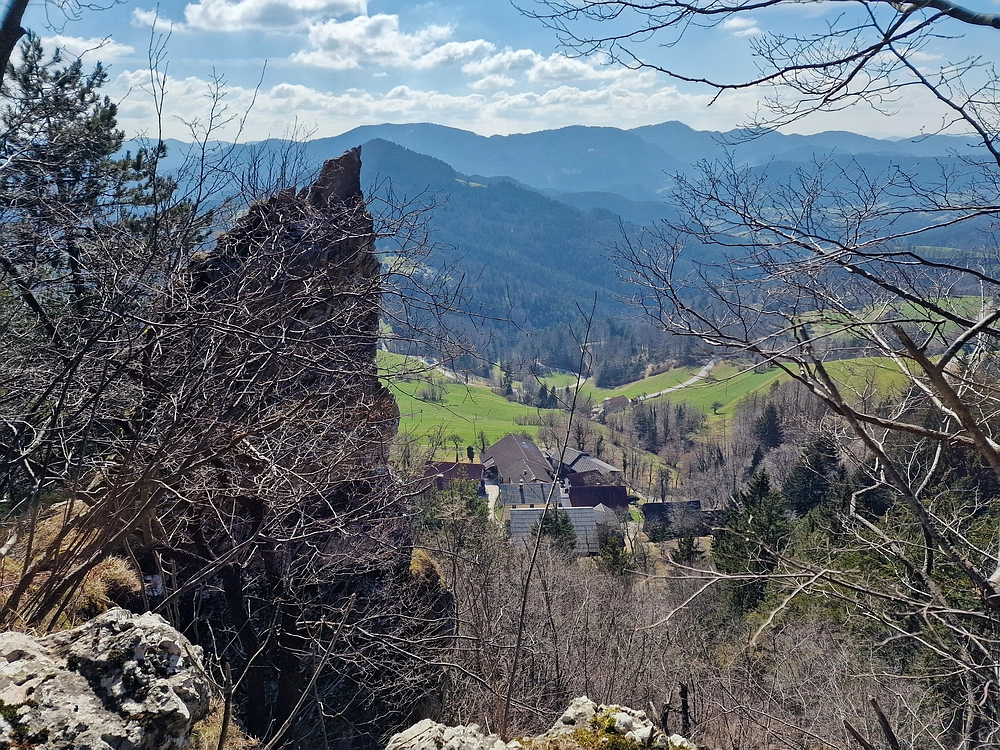 Slika je vidna v Google Chromu.