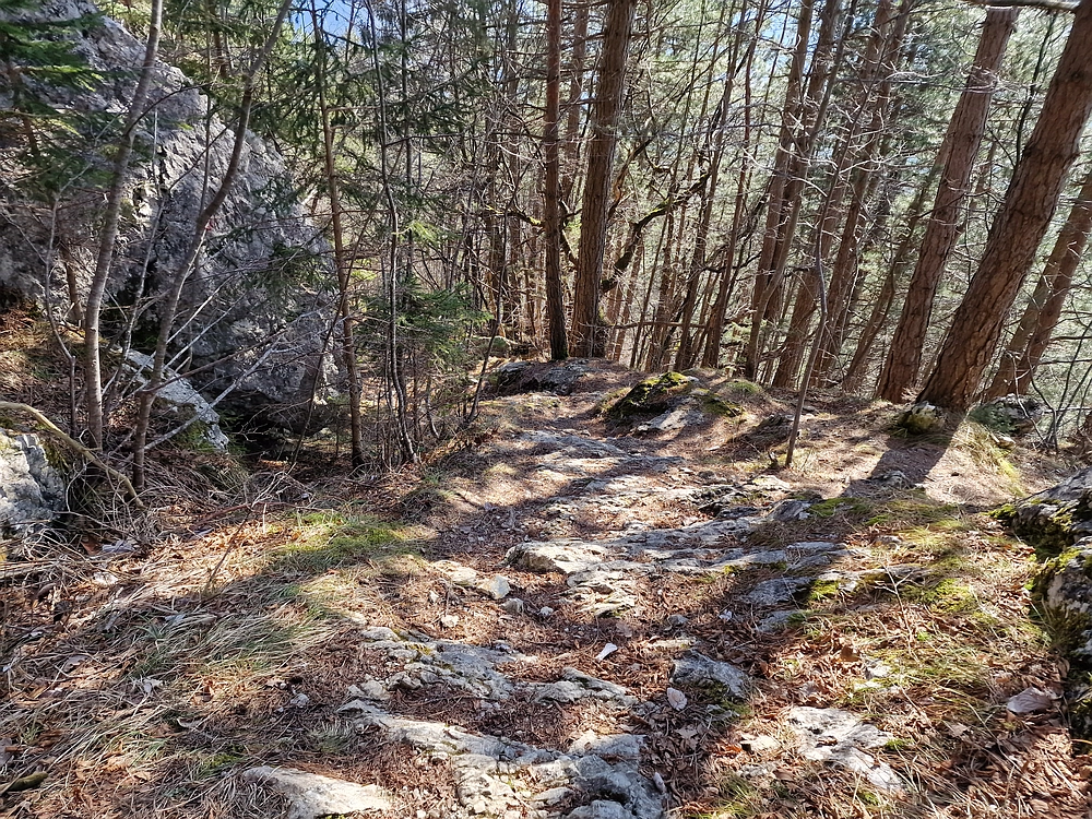 Slika je vidna v Google Chromu.