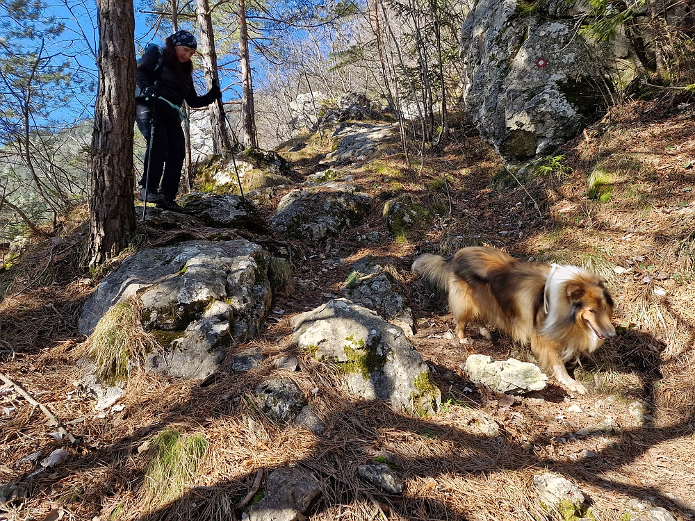 Slika je vidna v Google Chromu.