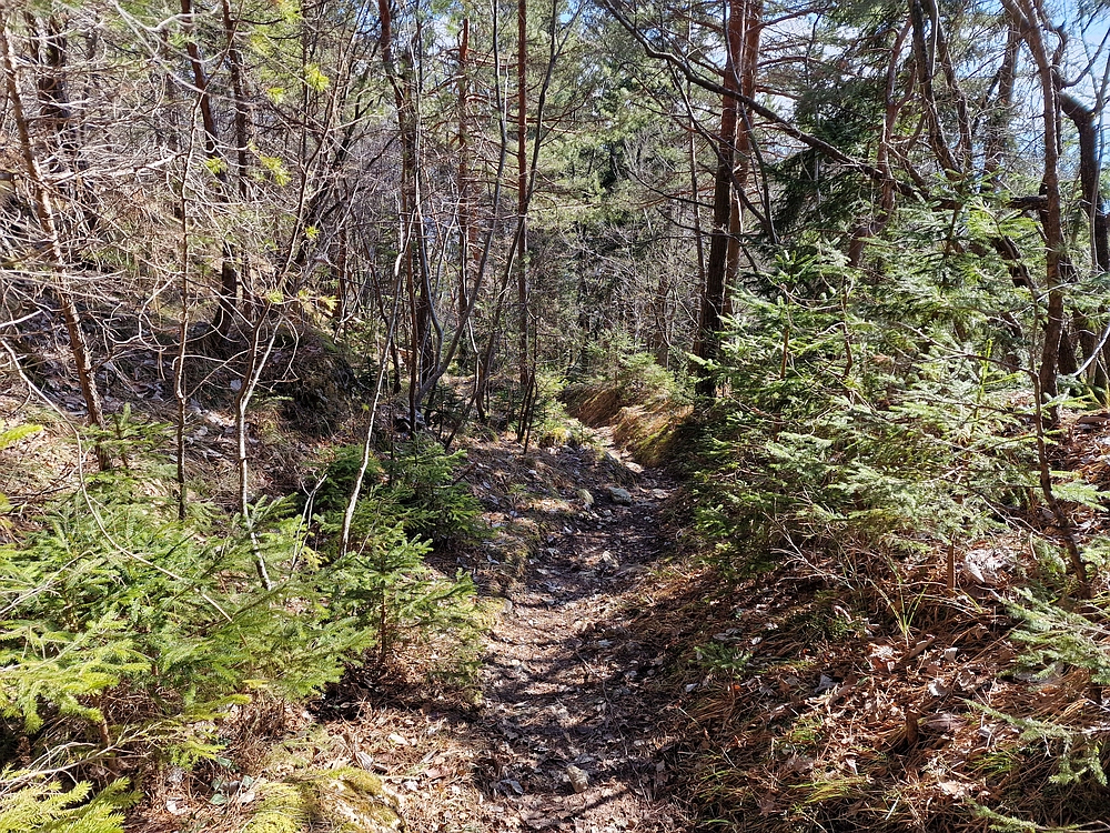 Slika je vidna v Google Chromu.