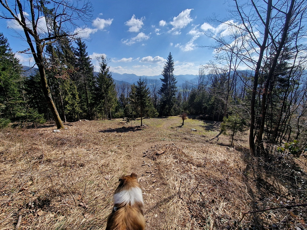 Slika je vidna v Google Chromu.