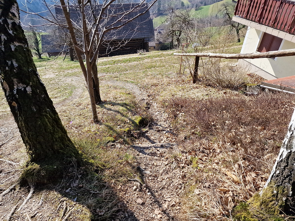 Slika je vidna v Google Chromu.