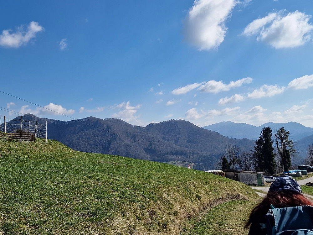 Slika je vidna v Google Chromu.