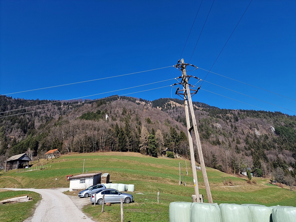 Slika je vidna v Google Chromu.