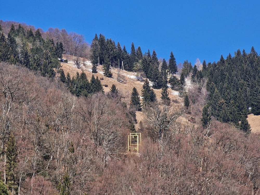 Slika je vidna v Google Chromu.