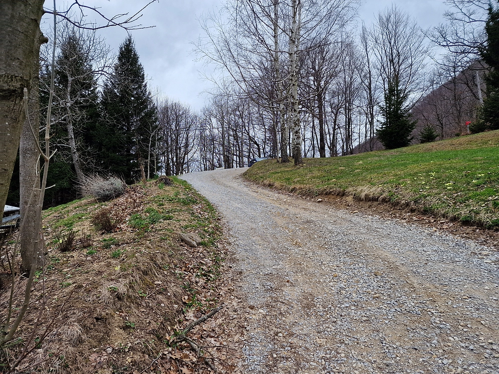 Slika je vidna v Google Chromu.