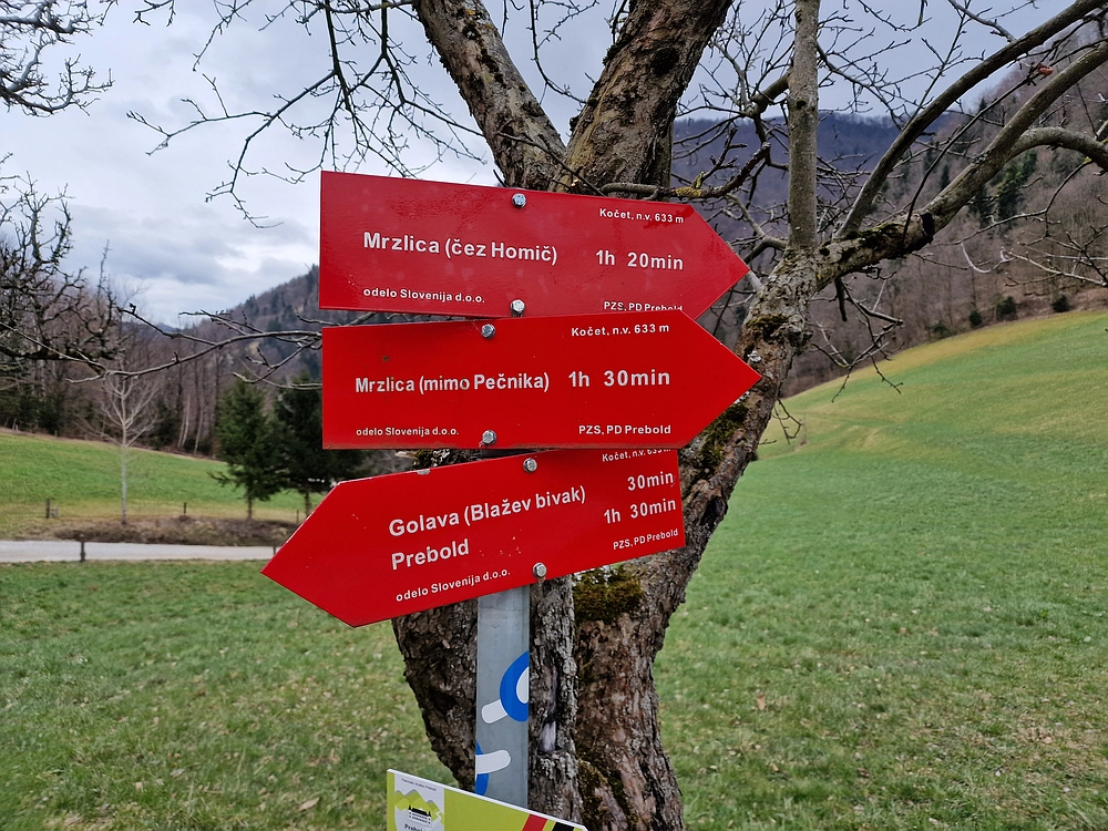 Slika je vidna v Google Chromu.