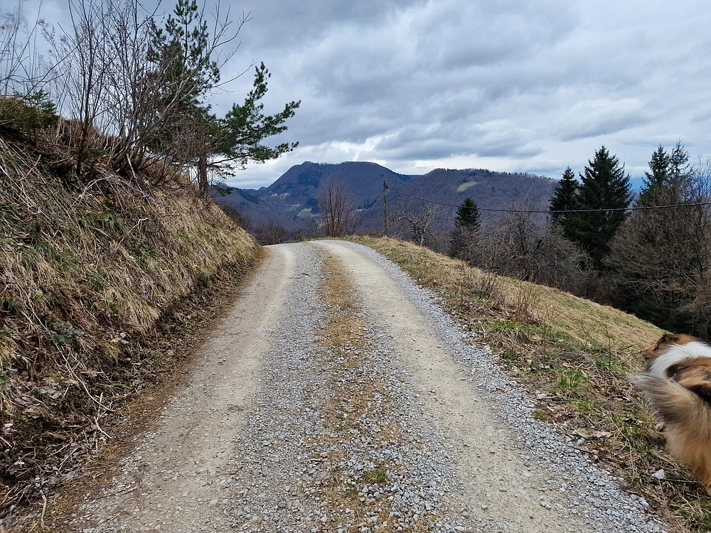 Slika je vidna v Google Chromu.