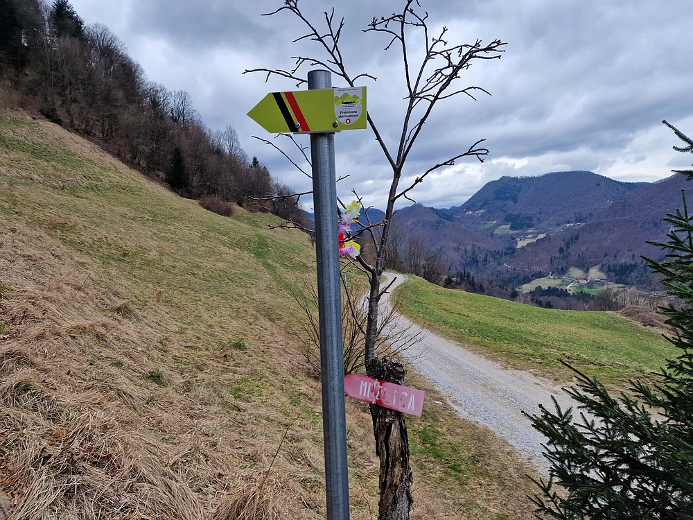 Slika je vidna v Google Chromu.