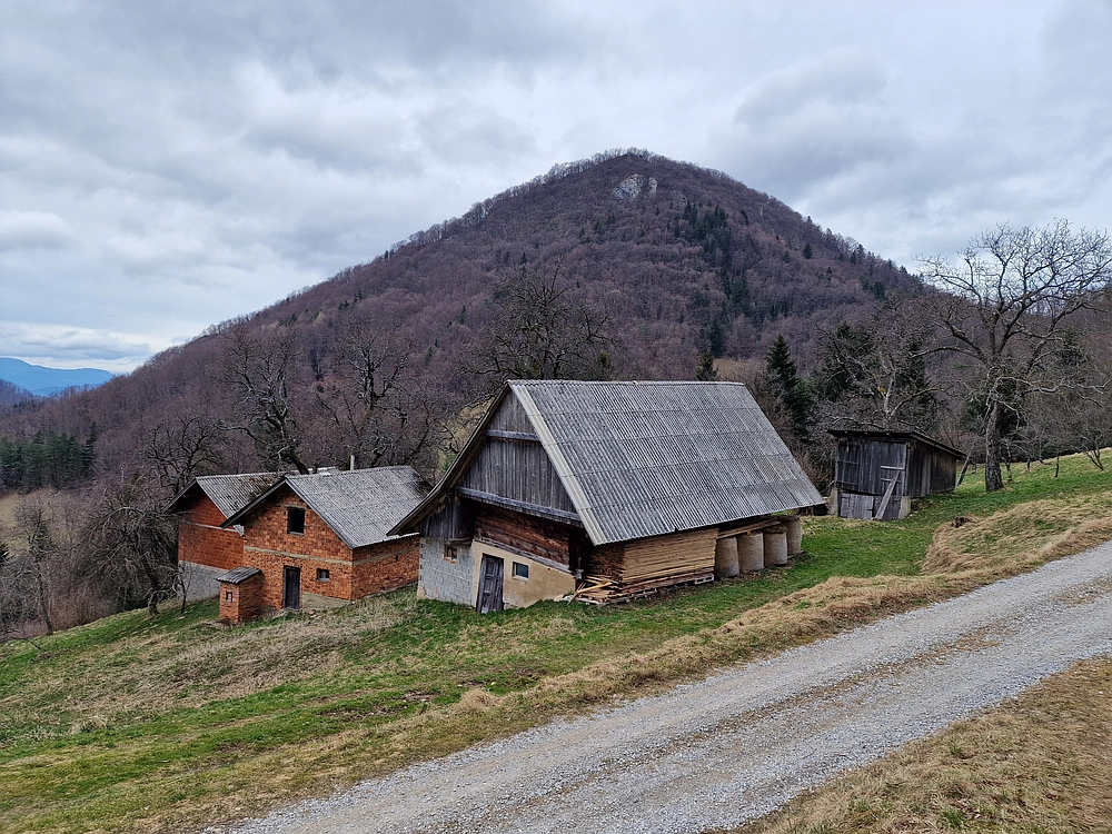 Slika je vidna v Google Chromu.