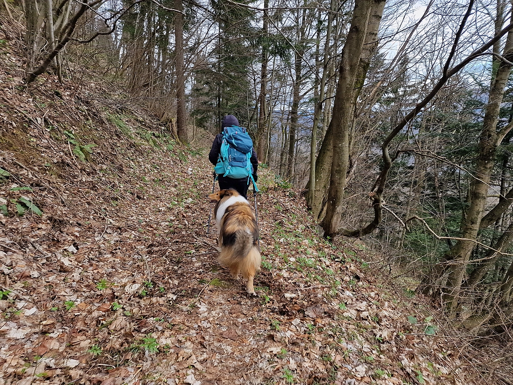 Slika je vidna v Google Chromu.