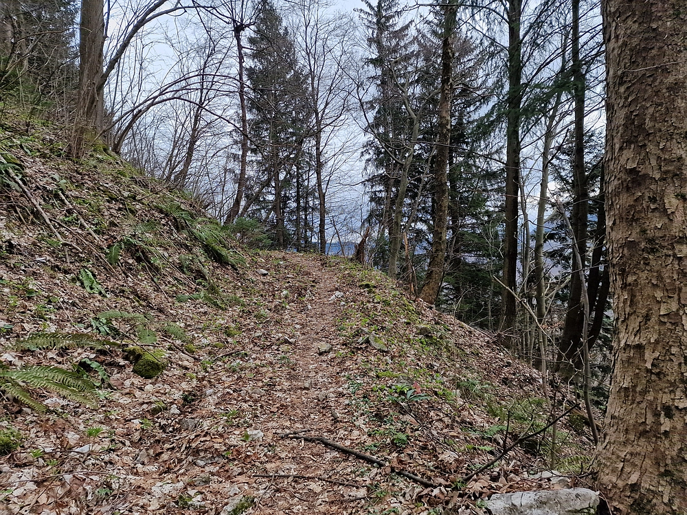 Slika je vidna v Google Chromu.