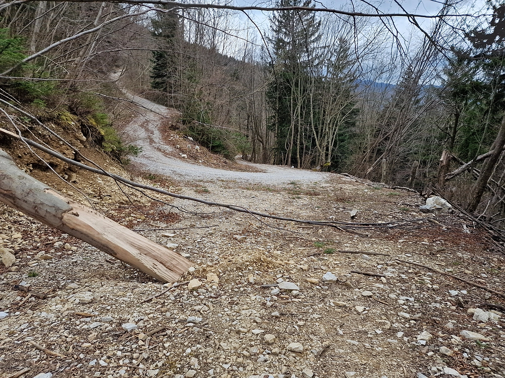 Slika je vidna v Google Chromu.