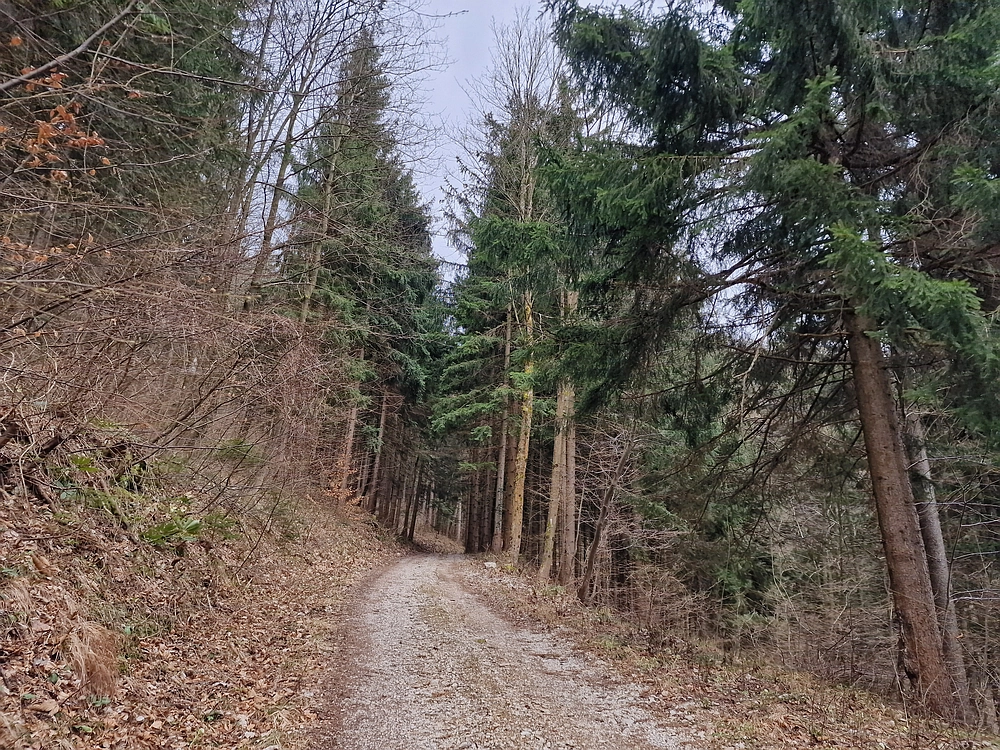 Slika je vidna v Google Chromu.