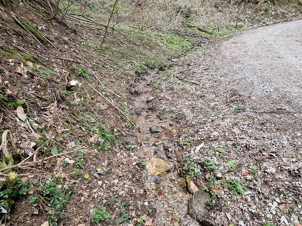 Slika je vidna v Google Chromu.