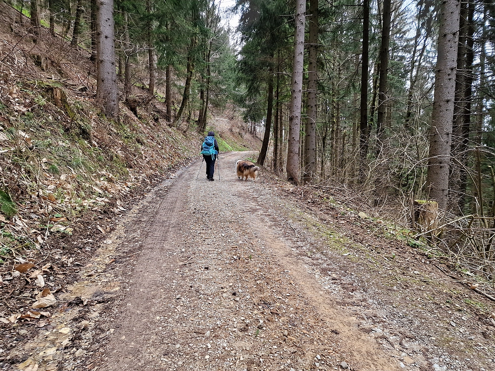 Slika je vidna v Google Chromu.
