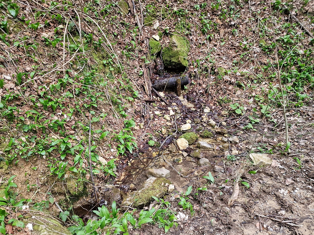 Slika je vidna v Google Chromu.