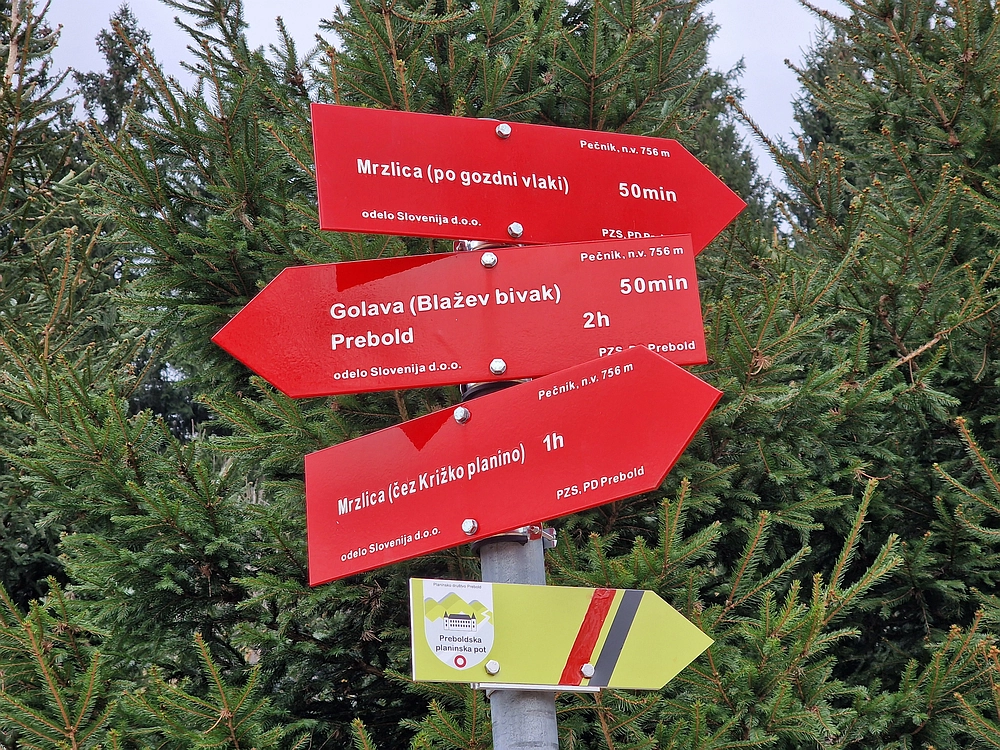 Slika je vidna v Google Chromu.