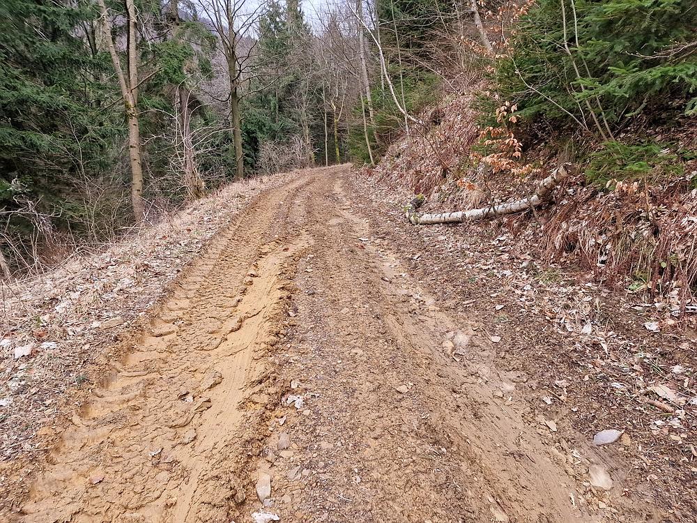 Slika je vidna v Google Chromu.