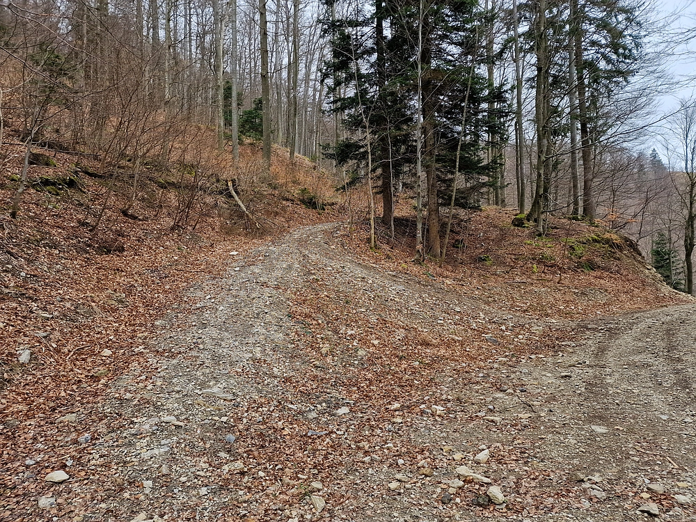 Slika je vidna v Google Chromu.